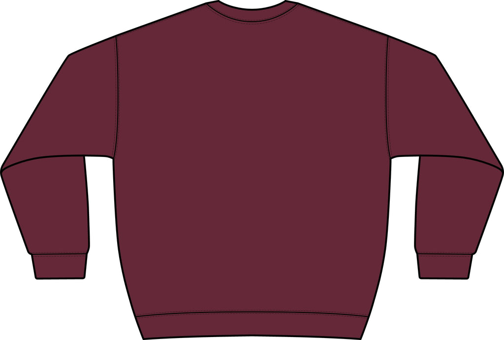 Graphic Crewneck Sweatshirt — “FUCK FENTANYL” Blue Text Awareness Pullover
