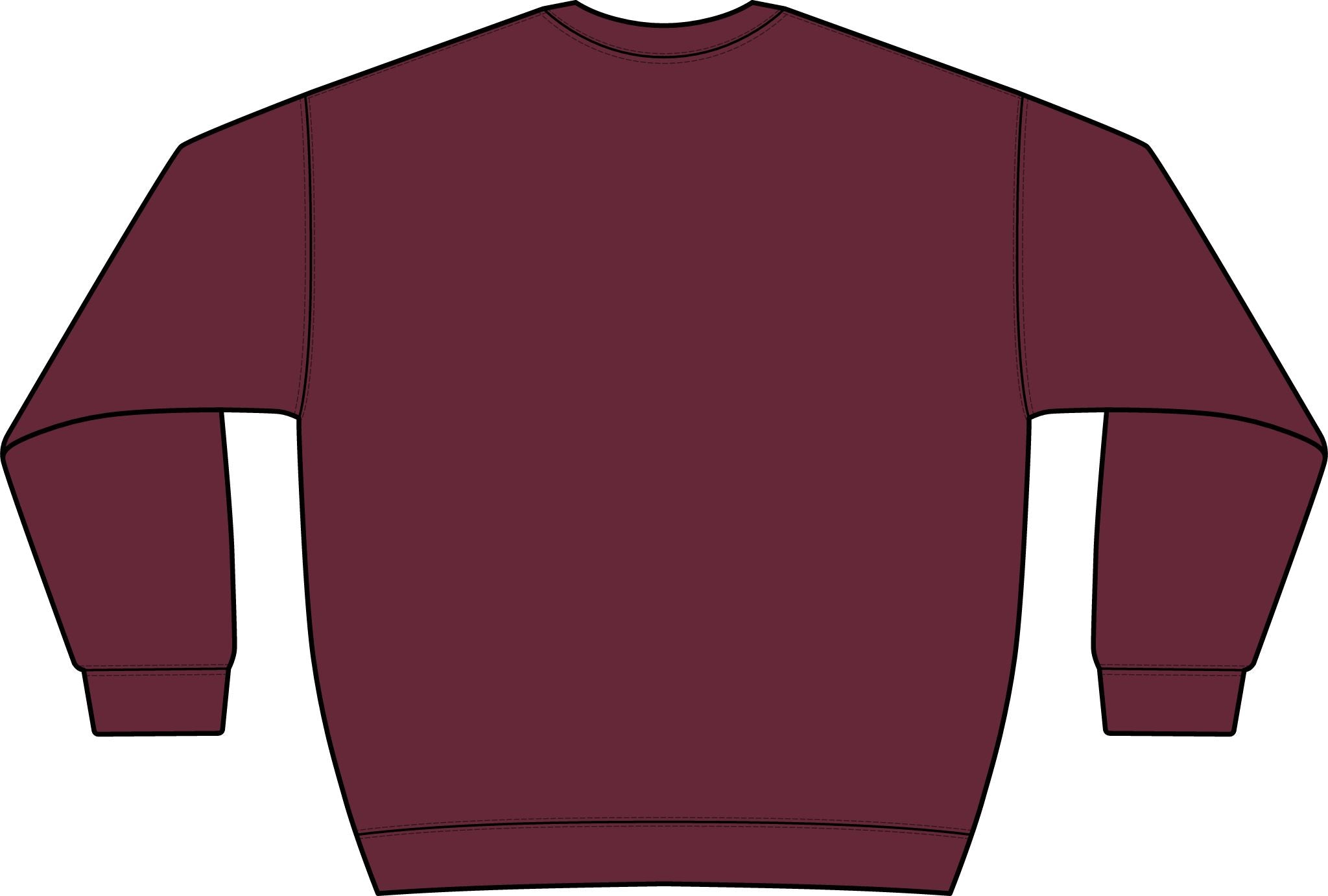 Graphic Crewneck Sweatshirt — “FUCK FENTANYL” Blue Text Awareness Pullover